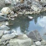 Piedra River Hot Springs