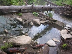 Rainbow Hot Springs Lower Pool