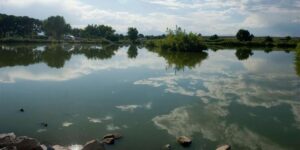 Saint Vrain State Park