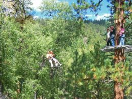 Soaring Tree Top Adventures