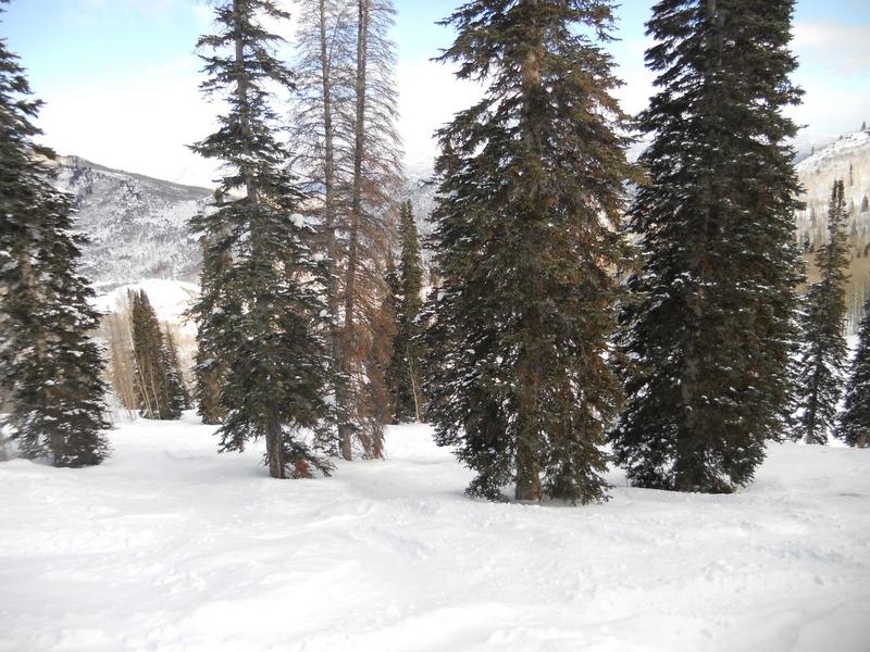 Sunlight Mountain Resort Glades