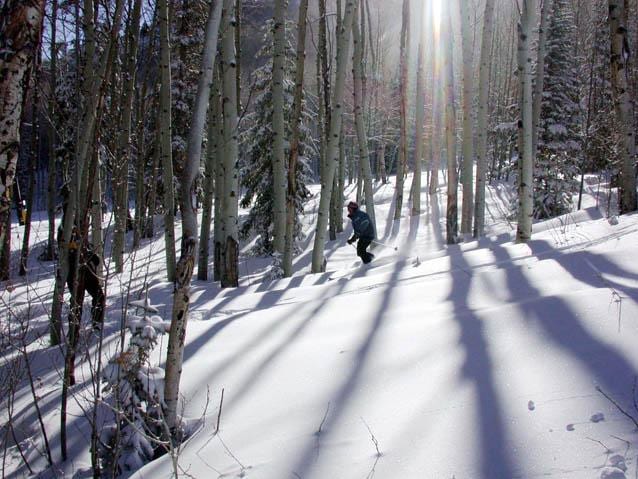 Sunlight Mountain Resort Trees