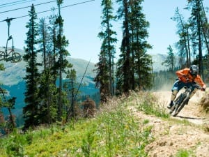 Trestle Bike Park Trail