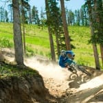 Trestle Bike Park Forest Trail