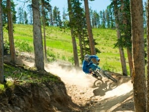 Trestle Bike Park Forest Trail