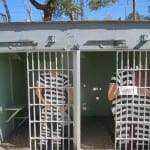 Museum Colorado Prisons Early Cells