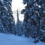 Eldora Mountain Moose Glades