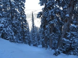 Eldora Mountain Moose Glades