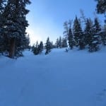 Eldora Mountain Tree Skiing
