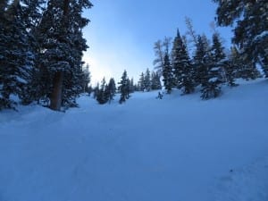 Eldora Mountain Tree Skiing