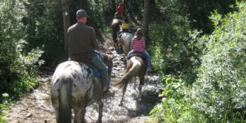 Horseback Riding Breckenridge