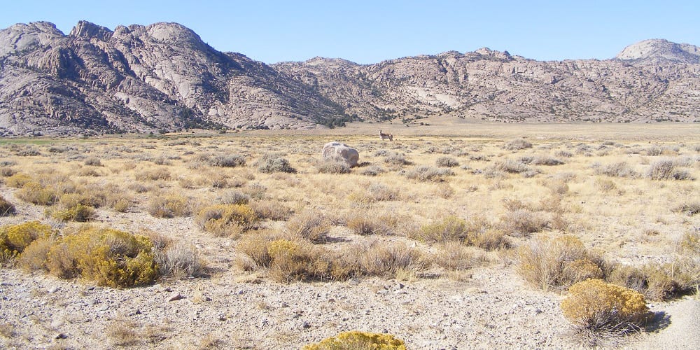 Hunting Western Colorado