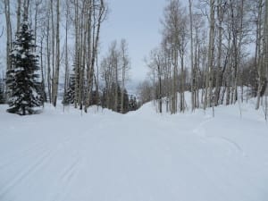 Snowmass East Branch