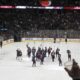 Colorado Avalanche