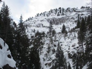 Fish Creek Falls Overlook Trail