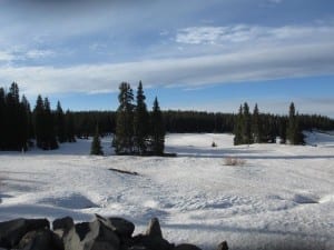 Grand Mesa Byway Skyway Cross Country Ski Area