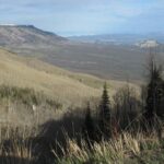 Grand Mesa Scenic Byway