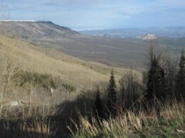 Grand Mesa Scenic Byway