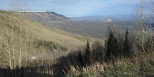 Grand Mesa Scenic Byway