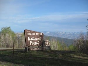 Grand Mesa National Forest