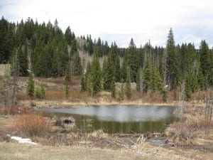 Grand Mesa Byway Pond