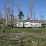 San Juan Skyway Dilapidated Shanty