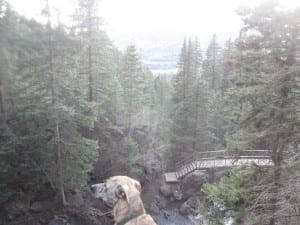 Treasure Falls Trail Bridge