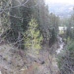 Treasure Falls Creek