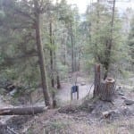 Treasure Falls Trail Switchbacks