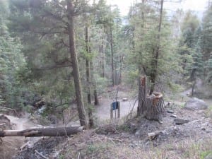 Treasure Falls Trail Switchbacks