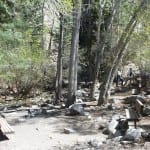 Zepata Falls Trail Benches