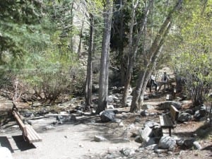 Zapata Falls Trail Benches