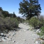 Zepata Falls Hiking Trail