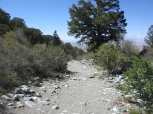 Zapata Falls Hiking Trail