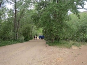 Clear Creek Whitewater Park Trail