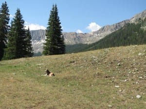 Collegiate Peaks Wilderness Clohesy Lake