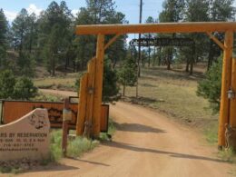 Colorado Wolf Wildlife Center