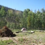 Stillwater Pass Dispersed Campsite