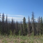 Stillwater Pass