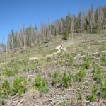 Stillwater Pass ATV Trail
