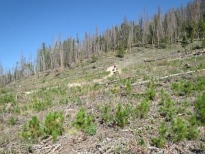 Stillwater Pass ATV Trail