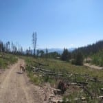 Stillwater Pass Multi-Use Trail