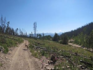 Stillwater Pass Multi-Use Trail