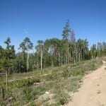 Stillwater Pass Trail