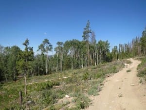 Stillwater Pass Trail