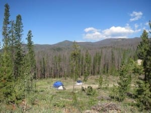 Stillwater Pass Dispersed Camping