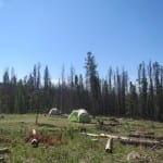 Stillwater Pass Dispersed Camping