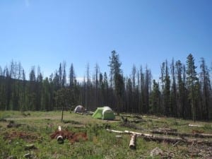 Stillwater Pass Dispersed Camping