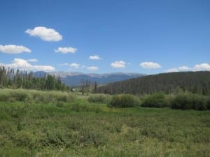 Saint Louis Creek Wilderness