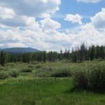 Saint Louis Creek Arapaho National Forest
